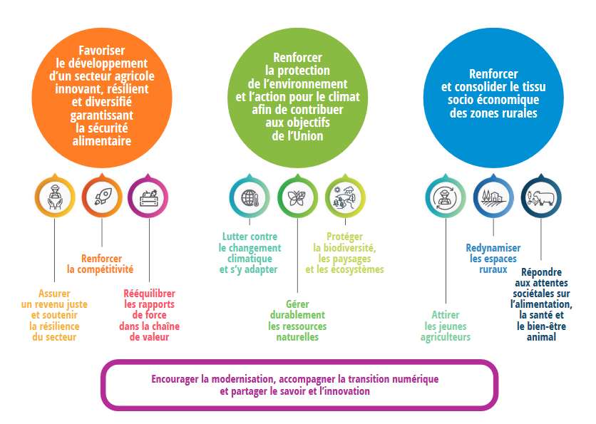 Schéma des 10 objectifs européens auxquels le PSN PAC répond