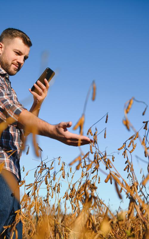 Homme avec un smartphone dans un champ